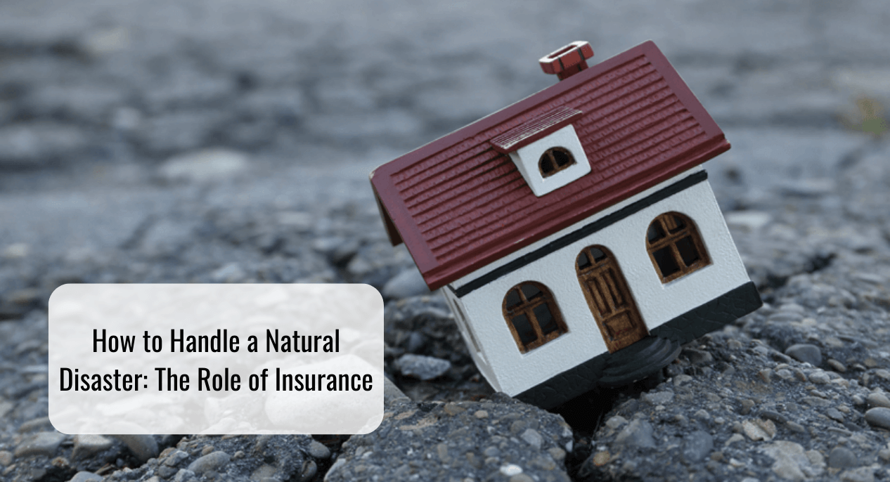 How to Handle a Natural Disaster: The Role of Insurance