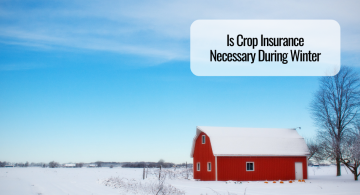 Is Crop Insurance Necessary During Winter  
